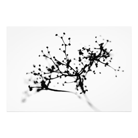 Biochemie des Winters Fotodruck (Vorne)