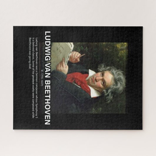 Biografie von Ludwig van Beethoven Puzzle (Horizontal)