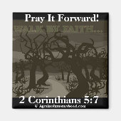 Biokotierungen Magnet (Vorne)