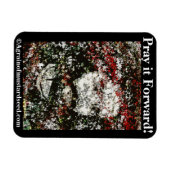 Biokotierungen Magnet (Horizontal)