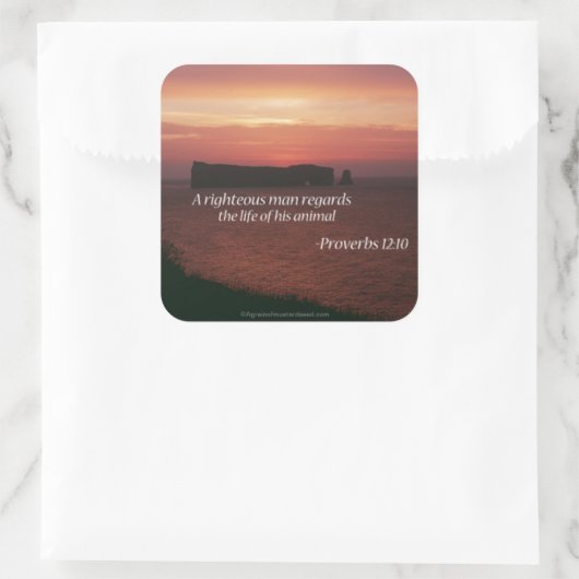 Biokotierungen Quadratischer Aufkleber (Tasche)