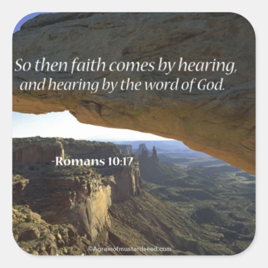 Biokotierungen Quadratischer Aufkleber (Vorderseite)