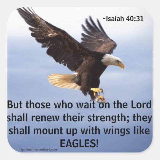 Biokotierungen Quadratischer Aufkleber (Vorderseite)