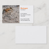 Biologen-Visitenkarte Visitenkarte (Vorne/Hinten)
