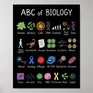 Biologie Alphabet Wissenschaft Bildung Lehrer Schü Poster