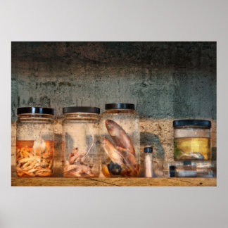 Biologie - Biologie 101 Poster
