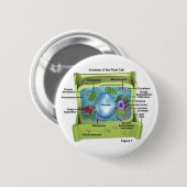 Biologie Button (Vorne & Hinten)
