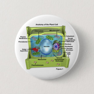 Biologie Button