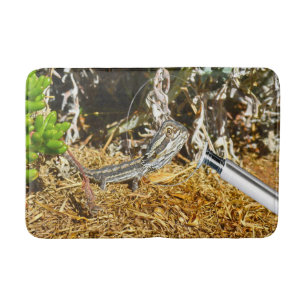 Biologie einer Baby-Bartonechse, Badematte