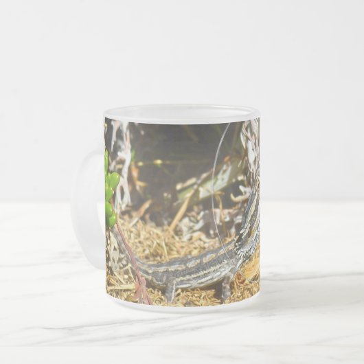 Biologie einer Baby-Bartonechse, Mattglastasse (Vorderseite Links)