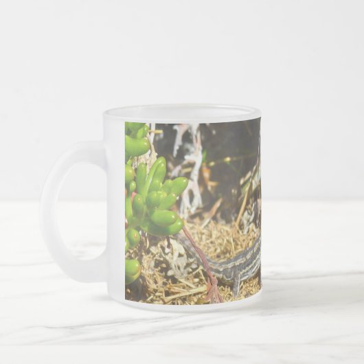 Biologie einer Baby-Bartonechse, Mattglastasse (Links)