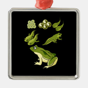 Biologie - Frostlebenszyklus Ornament Aus Metall