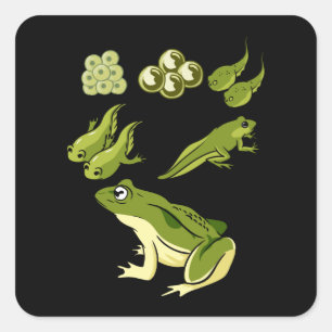 Biologie - Frostlebenszyklus Quadratischer Aufkleber