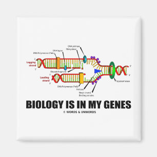 Biologie ist in meinen Genen (DNS-Reproduktion) Magnet