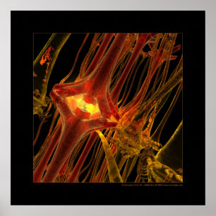 Biologie: Kommunikation #1 Poster