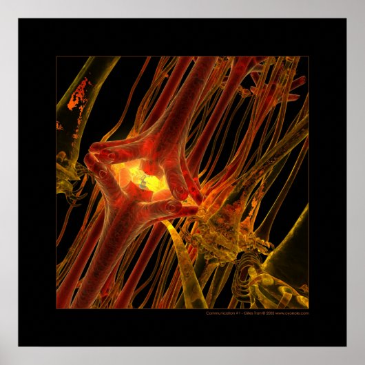 Biologie: Kommunikation #1 Poster (Vorne)