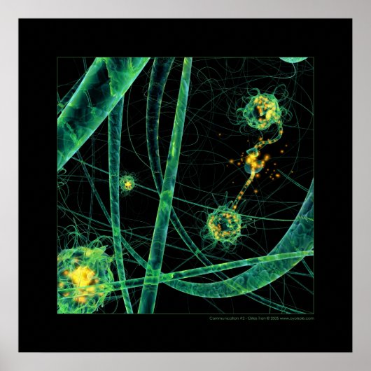 Biologie: Kommunikation #2 Poster (Vorne)