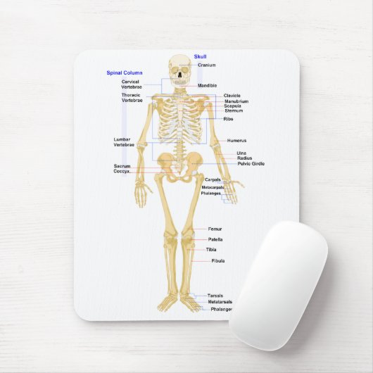 Biologie-Mausunterlage Mousepad (Mit Mouse)
