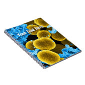 Biologie-Mikrobiologie-abstrakte Notizblock (Rechte Seite)