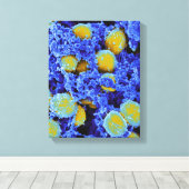 Biologie, Mikrobiologie, abstraktes Kunstposter od Leinwanddruck (Insitu (Holzboden))