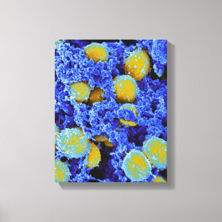 Biologie, Mikrobiologie, abstraktes Kunstposter od Leinwanddruck