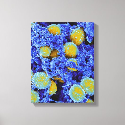 Biologie, Mikrobiologie, abstraktes Kunstposter od Leinwanddruck (Vorderseite)