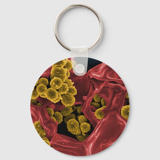 Biologie-Mikrobiologie-Geschenke für Lehrkräfte Schlüsselanhänger (Vorderseite)