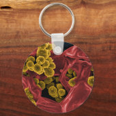 Biologie-Mikrobiologie-Geschenke für Lehrkräfte Schlüsselanhänger (Vorderseite)