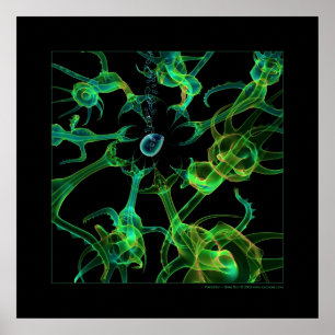 Biologie: Prädation Poster