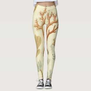 Biologie-Schulbuch, Alte Korallentiere Leggings