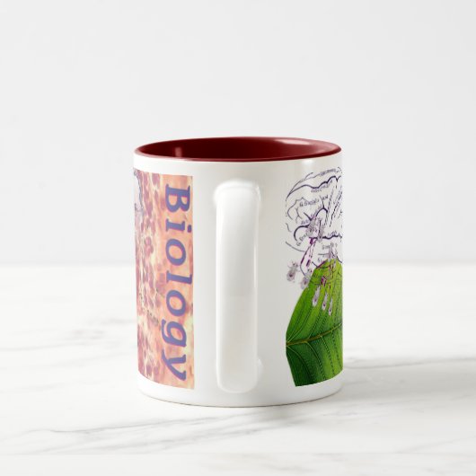 Biologie-Tasse Zweifarbige Tasse (Henkel)