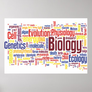 Biologie-Wörter Nr. 4 Poster