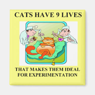 Biologieexperimenteller Witz Magnet