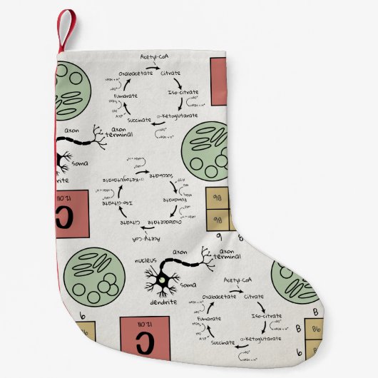 Biologiewissenschaft Labrador Lehrerin Holiday Cel Kleiner Weihnachtsstrumpf (Vorderseite)