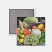 biologisch magnet (Vorderseite/Rückseite)