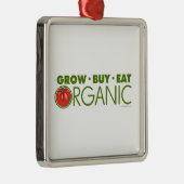 Biologisch Silbernes Ornament (Rechts)