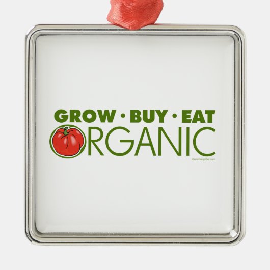Biologisch Silbernes Ornament (Vorne)