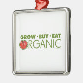 Biologisch Silbernes Ornament (Links)