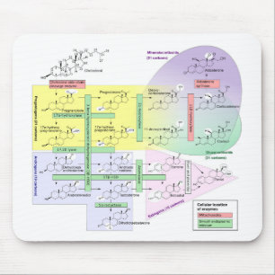 Biologische Chemikalie des menschlichen Steroidoge Mousepad