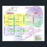 Biologische Chemikalie des menschlichen Steroidoge Poster<br><div class="desc">Human Steroidogenesis Diagramm Biological Chemical Poster "File:Steroidogengenesis.svg" von David Richfield (User:Slashme) und Mikael Häggströs ist lizenziert unter CC BY-SA 3.0 https://en.wikipedia.org/wiki/File:Steroidogenesis.svg</div>