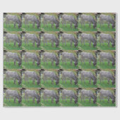 Biologische Rasenmäher auf vier Höhlen Geschenkpapier (Flach)