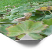 Biologische Rasenmäher auf vier Höhlen Poster (Ecke)