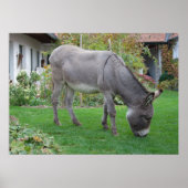 Biologische Rasenmäher auf vier Höhlen Poster (Vorne)