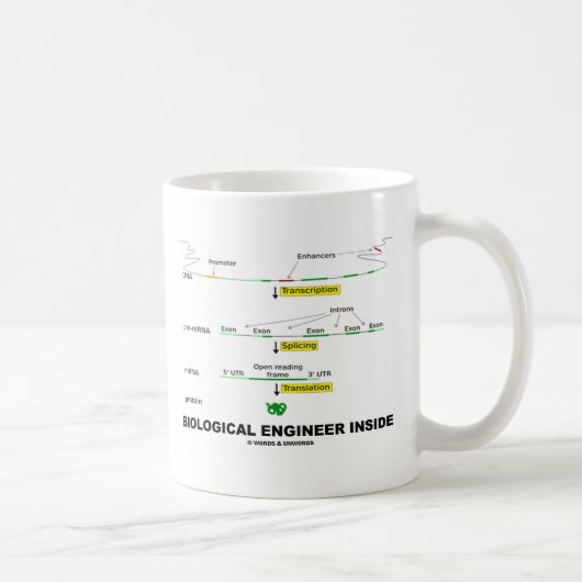 Biologischer Ingenieur nach innen Kaffeetasse (Rechts)