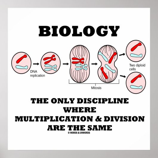Biology Only Disziplin Multiplikation Division Poster (Vorne)