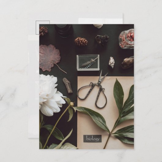 Biology science Flat Lay Academia Postkarte (Vorne/Hinten)