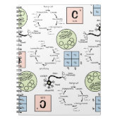 Biology Science Teacher Pattern Genetics Cell Geek Notizblock (Vorderseite)