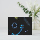 Biolumineszenz Postkarte (Stehend Vorderseite)