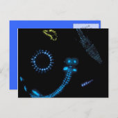 Biolumineszenz Postkarte (Vorne/Hinten)