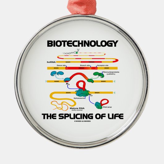 Biotechnologie das Verstärken des Lebens (reife Keramik Ornament (Vorne)